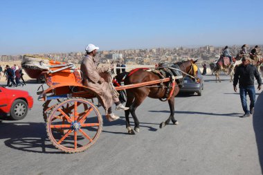 GIZA / EGYPT - 30 Kasım 2018: At arabasında oturan adam, turistleri bekliyor