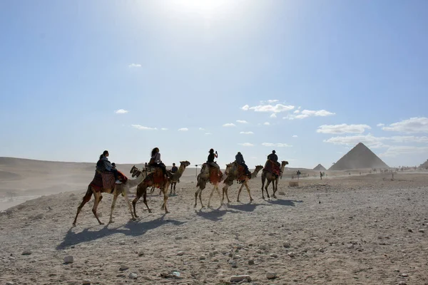 Giza Egypt November 2018 Beş Turist Develerin Üzerinde Piramitlerin Yanında — Stok fotoğraf