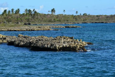 Uzaklarda palmiyeler ve kayalıklar olan deniz kıyıları, Dominik 'te.