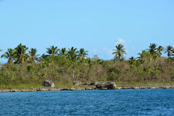 Küste Mit Palmen Und Großen Steinen Mit Meerwasser Vordergrund — Stockfoto