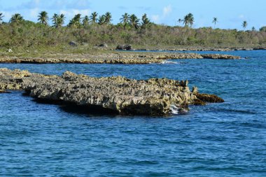 Uzakta palmiyeler olan deniz kıyısının bir parçası. 