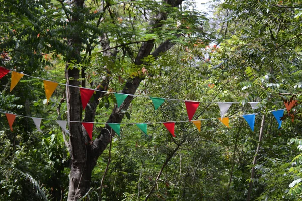 Parkta Küçük Dalgalı Bayraklar Var — Stok fotoğraf