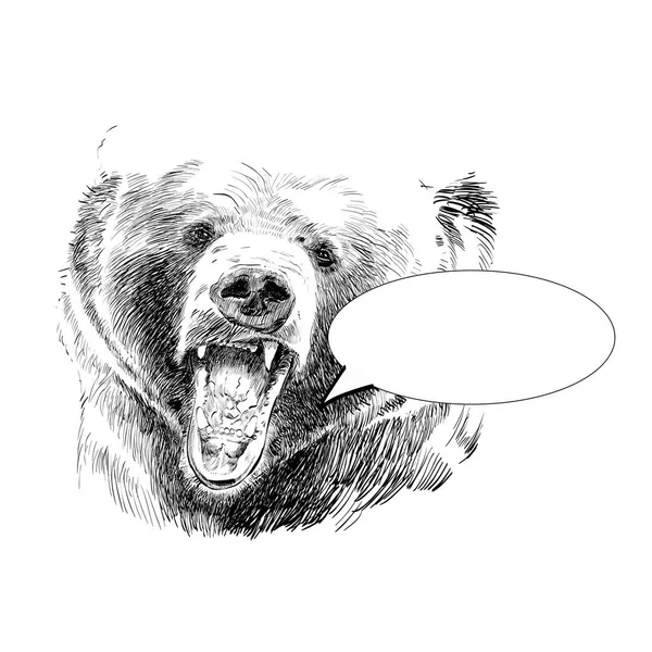 Oso rugiente. Cabeza de oso. Oso salvaje. Cabeza de oso marrón . — Vector de stock