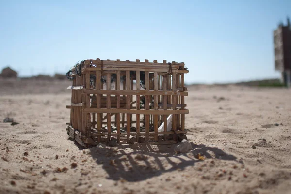 Mısır seyahat cephe gerisinde