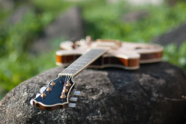 Guitarra em flores — Fotografia de Stock