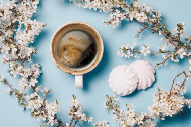 Polis blossoning ağaç dallarının mavi yapılmış çerçeve içinde kahve 