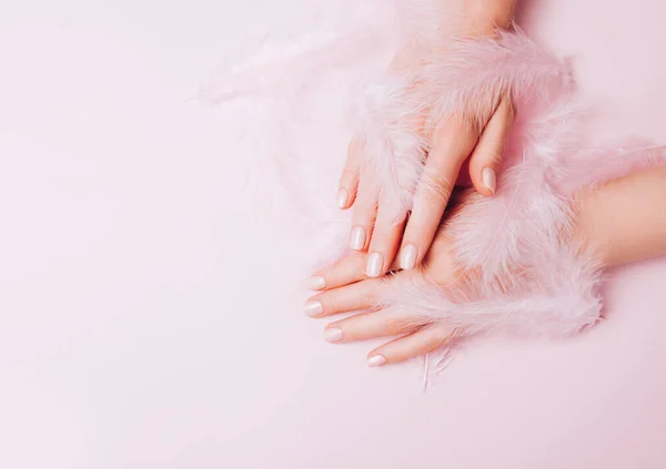 Κομψό Μοντέρνο Γυναικείο Μανικιούρ Γυναικεία Χέρια Κρατώντας Ροζ Καθαρά Φτερά — Φωτογραφία Αρχείου