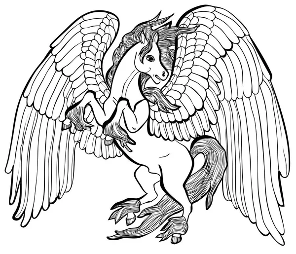 Ilustração vetorial do cavalo Pegasus preto e branco — Vetor de Stock