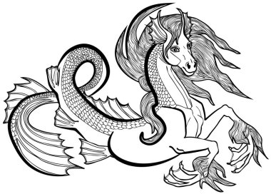 Vector illustration of hippocampus or kelpie fantasy horse black and white  clipart