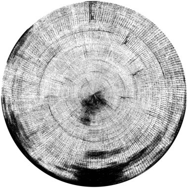 duvar sıva kalker blokların 