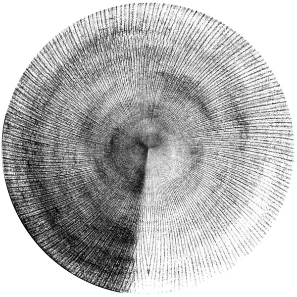 黑白圆曲柄叠置元件 圆形图案 困难的纹理背拉 肮脏的复古单色矢量图解背景 刷子笔划模板 — 图库照片