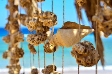 Çelenk mercan ve kabukları ile bir yanları açık garaj