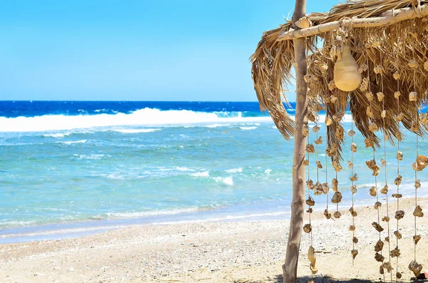 Una cochera con una guirnalda de coral y conchas. Mar Rojo — Foto de Stock