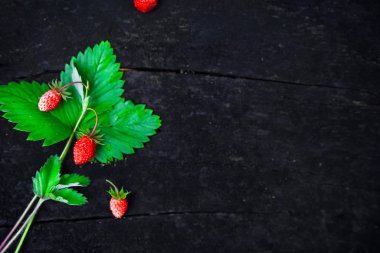 Bir sürü vahşi olgun çilek ormandaki karanlık odunsu arka plan üzerinde. Doğal arka plan. Diyet kavramı gıda