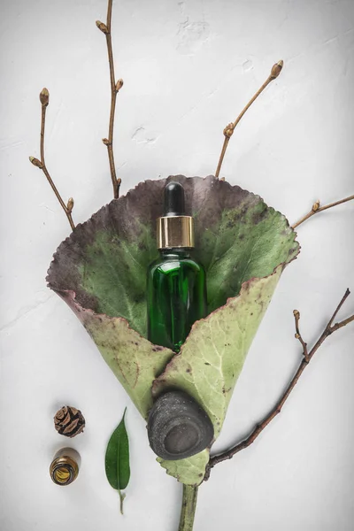 Minimal style. Herbal extract, essential oil, whey in a vial on a green leaf. The concept of natural cosmetics. Flat lay