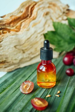 Grape seed oil. Still life of bottle with oil, and grape seed on the natural background.