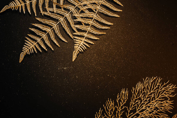 Рождественский праздничный темный фон. Блестящие ветви папоротника и открытого дерева на черном фоне с блестками. Минималистский плакат
