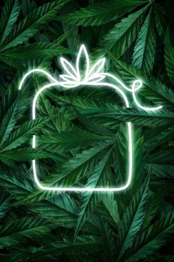 Kenevir yaprakları, marihuana ve neon tabelalardan oluşan yaratıcı floresan Noel arkaplanı. Düz yatıyordu