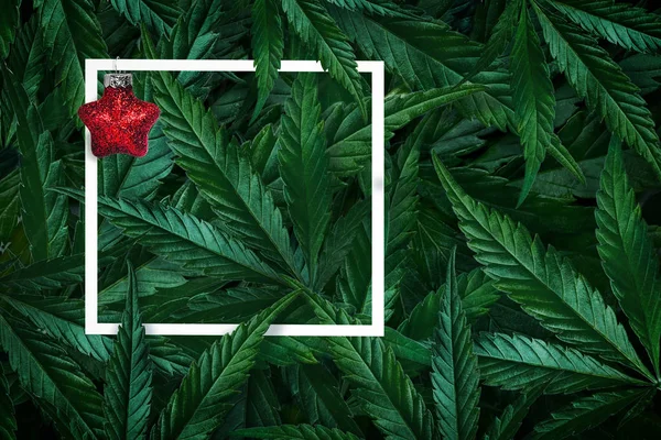 Creatieve kerstachtergrond van hun cannabis marihuana bladeren en frame met kerstversiering. — Stockfoto