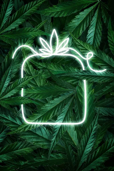 Creatieve fluorescerende kerst achtergrond lay-out van hennepbladeren, marihuana en een neon teken cadeau. Vlakke plaat — Stockfoto