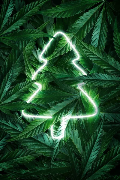 Creatieve fluorescerende kerst achtergrond mockup van hennepbladeren, marihuana en kerstboom neon teken. Vlakke plaat — Stockfoto