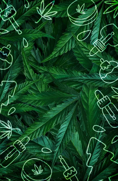 Kerst achtergrond, frame van hennep bladeren, marihuana met een illustratie van Cbd producten. Flat lay kopieerruimte — Stockfoto