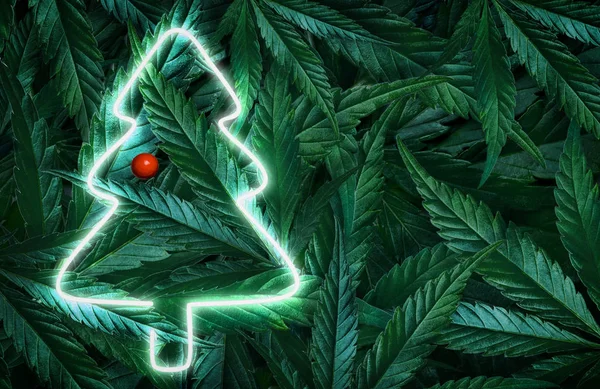 Creatieve fluorescerende kerst achtergrond mockup van hennepbladeren, marihuana en kerstboom neon teken. Vlakke plaat — Stockfoto