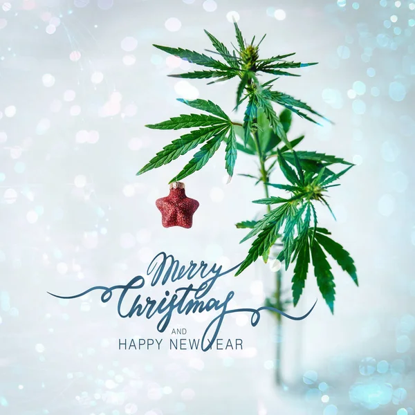 Noel süslemeli kenevir yaprağı ve çalılık. Şenlik arka planı. Mutlu Noel mektupları Meydanı