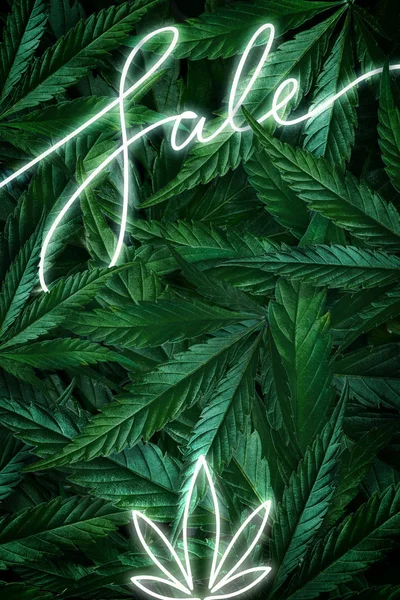 Der kreative Hintergrund besteht aus Cannabisblättern, Marihuana und einem Verkauf mit Leuchtreklame. flacher Lagekopierraum — Stockfoto