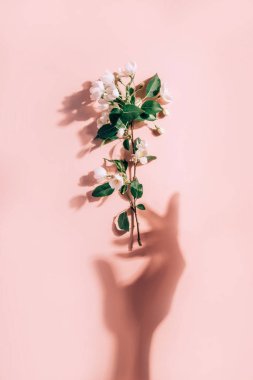 Soyut bahar arkaplanı, minimum kompozisyon. Geriye dönük ahşap bir arka planda elma ağacı dalı. Bahar konsepti. Romantik çiçek arkaplanı.