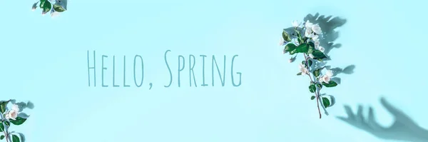 Layout criativo com um ramo de flores de maçã em um fundo azul pastel. Deitado. Hello Spring conceito mínimo Banner — Fotografia de Stock