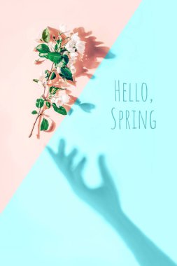 Pastel pembe, mavi arka planda elma çiçeklerinin olduğu yaratıcı bir düzen. Düz yatıyordu. Merhaba Bahar Minimum Konsepti