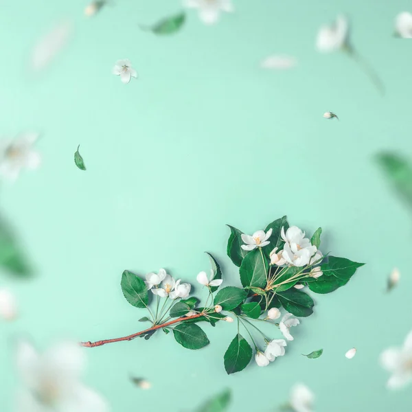 Diseño creativo con el manzano en flor sobre un fondo azul. Acostado. Concepto - minimalismo de primavera — Foto de Stock