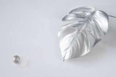 Beyaz arka planda parlak gümüş canavar yaprakları. Moda tasarımı. Pastel Minimalizm. Boşluğu kopyala