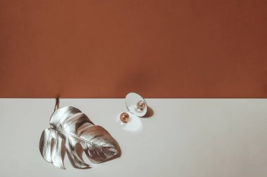 Arka planda gümüş yaprak canavarı, vazo ve dekor. Düz yatıyordu. Soyut moda geçmişi, minimalizm.
