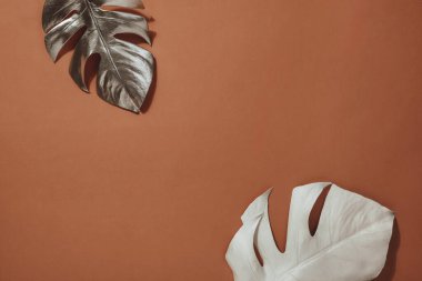 Terracotta arka planında parlak gümüş ve beyaz canavar yaprakları. Moda tasarımı. Pastel Minimalizm. Boşluğu kopyala