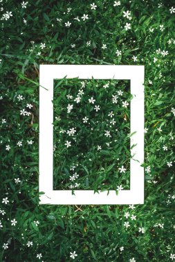 Doğal yaprakların yaratıcı yeşil çiçek arkaplanı ve beyaz çerçeve kopyalama alanı olan çayır otları