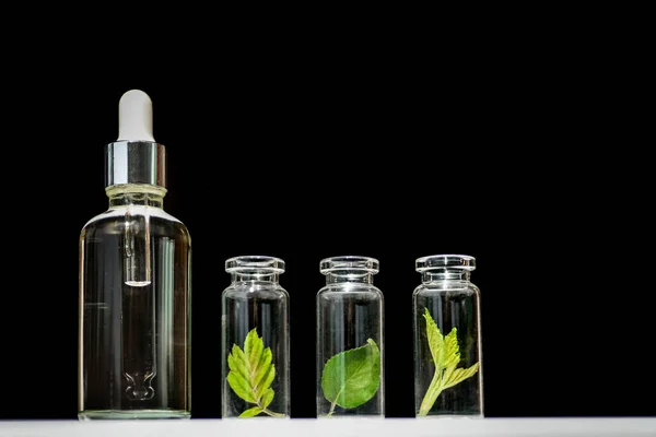 Homöopathisches Öl, Serum und Flaschen mit Pflanzen auf schwarzem Hintergrund — Stockfoto