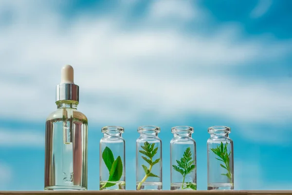 Homöopathisches Öl, Serum und Flaschen mit Pflanzen auf blauem Hintergrund — Stockfoto