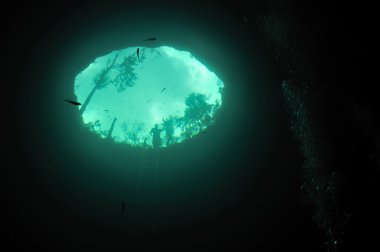 Penceresinin üst dünya