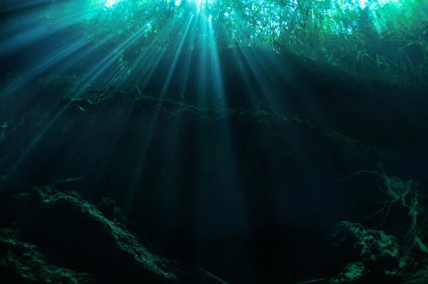 Zatopiony Las (promienie słońca przenikając przez wody Ponderosa (Garden of Eden) jaskinia z zatopionymi drzewami w tle) — Zdjęcie stockowe