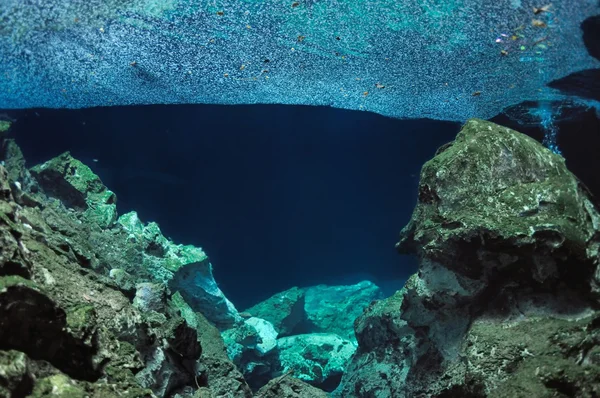 Απαιτήσεις των κολυμβητών (υποβρύχιο τοπίο της Tajma ΧΑ σπήλαιο) — Φωτογραφία Αρχείου