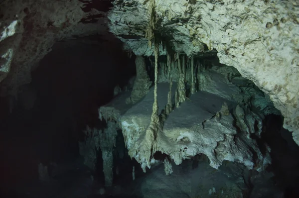 Käkar, insättningar i undervattensgrotta — Stockfoto