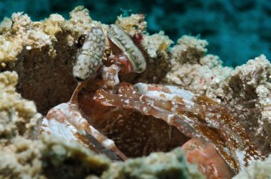 derin düşüncelere dalmış