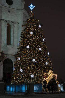 Noel ağacı Cathedral yakınındaki