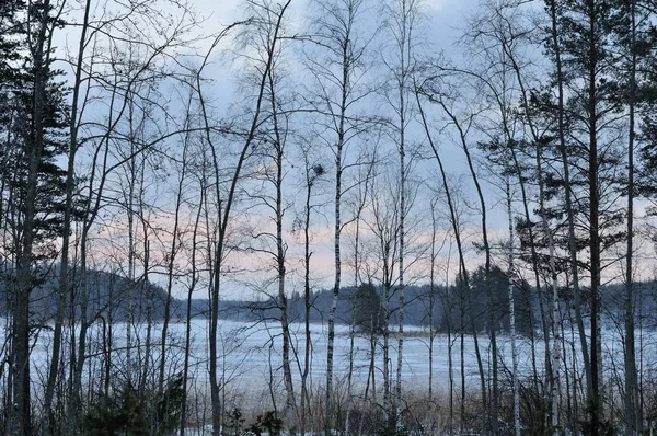 Зимнее озеро в сумерках — стоковое фото