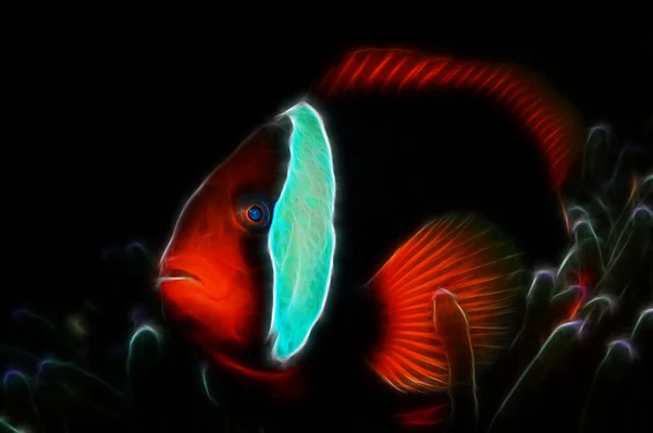 Deniz şakayığı, Panglao, Filipinler 'de saklanan domates palyaço balığının (Amphiprion franatus) fraktal görüntüsü
