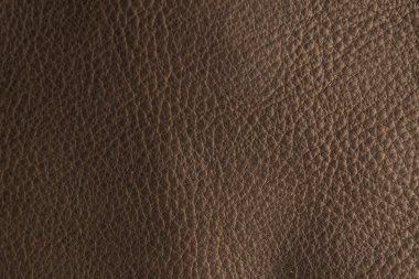 Kahverengi deri doku ve arka plan. 