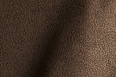 Kahverengi deri doku ve arka plan. 