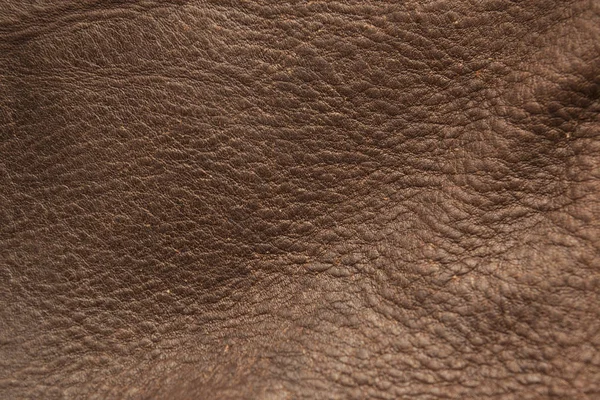 Textura de couro marrom e fundo . — Fotografia de Stock